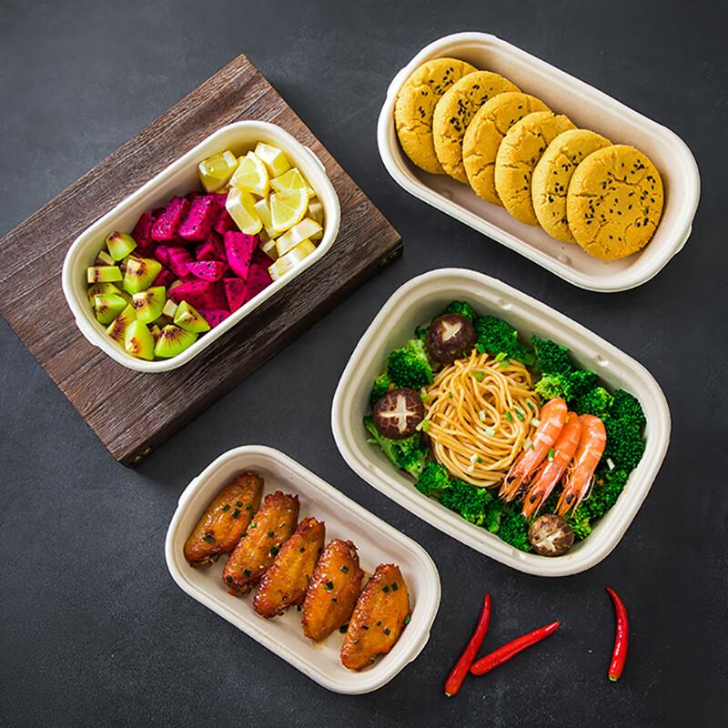 Disposable Pulp Food Container with Lid