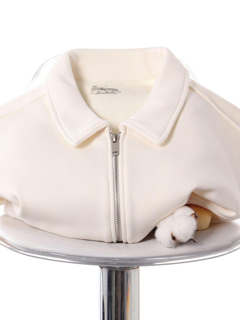 Men's Trendy Japanese Retro Silver Fox Velvet Hoodie - Heavyweight, Solid Color, Zipper Lapel Jacket for Autumn Winter