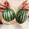 Three-dimensional Spherical Simulation Fruit Big Watermelon Pillow Plush Toy Summer Doll Doll Children's Gift