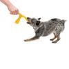 West Paw Zogoflex Air Wox Dog Currant Toy, (Dark Pink)