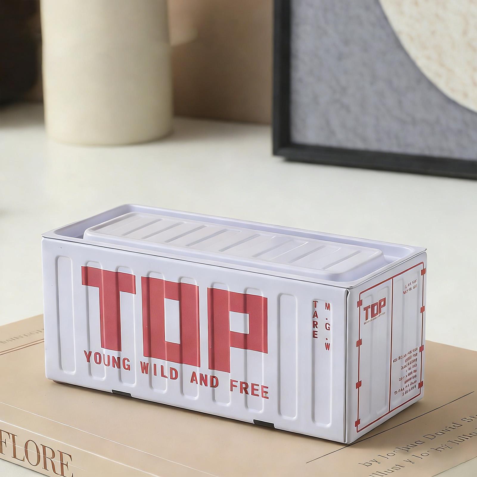Metal Tin Storage Box Mini Industrial Style for Living Room Desk Organization Durable Material White TOP