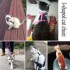 Cat Towing Rope for Preventing Escape Specifically Designed for Outdoor Use Small Milk Cats Pets Chest Protection Harness Chain
