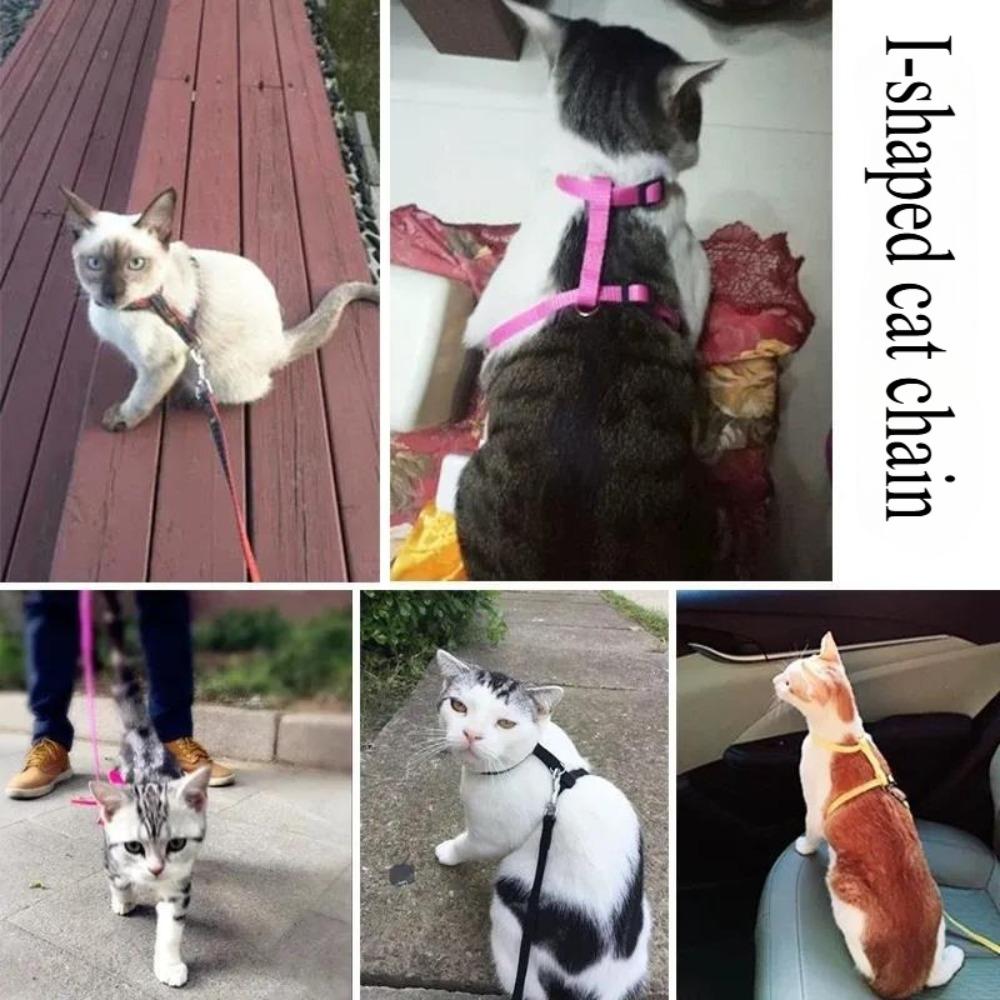 Cat Towing Rope for Preventing Escape Specifically Designed for Outdoor Use Small Milk Cats Pets Chest Protection Harness Chain