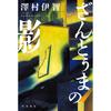 Shadow of Zanduma - Literary Fiction Novel