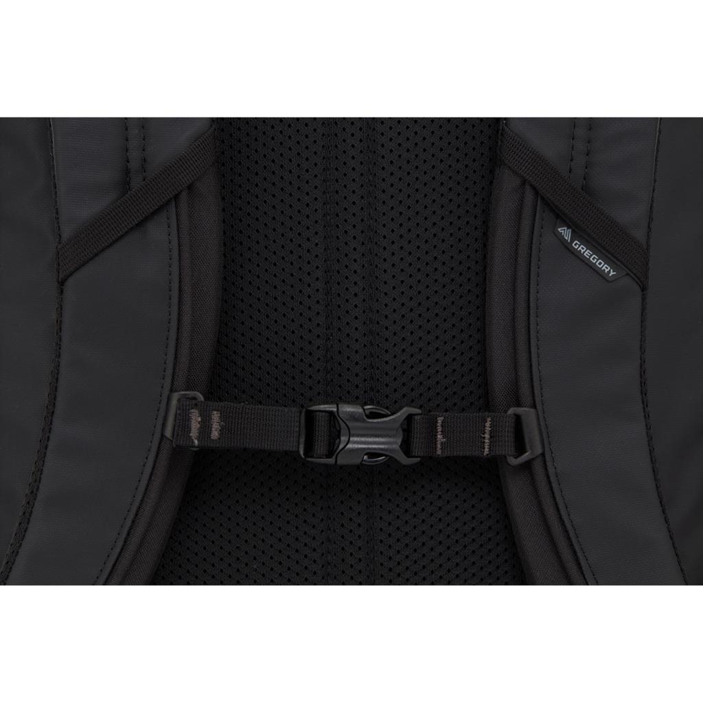 Gregory Unisex Compass 30 Backpack in Universe Black (1426342480)