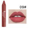 12 Colours Lips Makeup Lipstick Lesk na rty Kosmetická rtěnka s dlouhotrvající hydratací