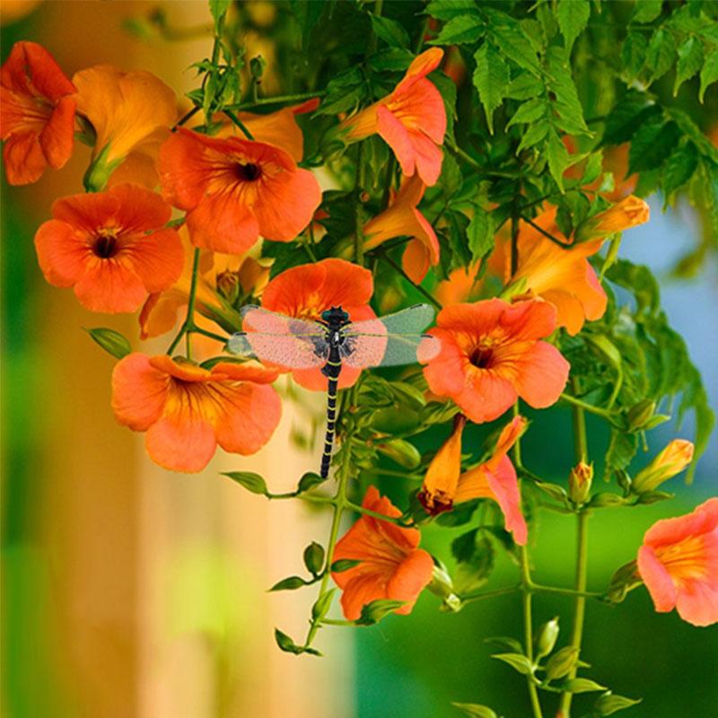 Simulation Dragonfly Mosquito Repellent Artifact Plastic Model Big Dragonfly Crafts Outdoor Hanging Ornaments Garden Decoration