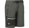 Шорты Ternua Mikas Shorts Темно-зеленый
