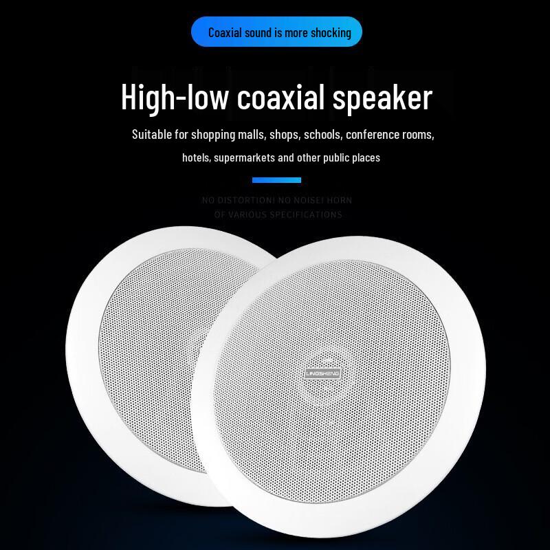Lingsheng Ceiling Mount Public Address Speaker (CN version)