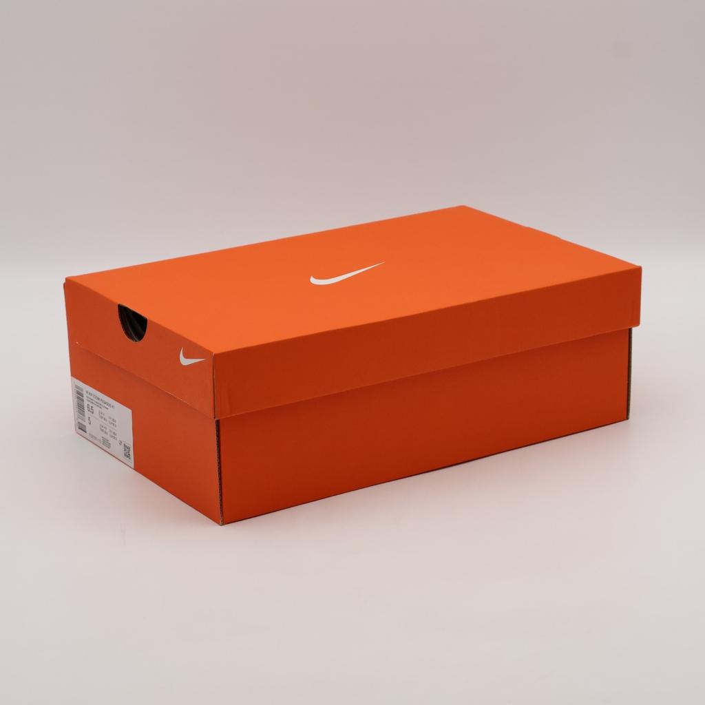 FD2723-113 Nike Air Zoom Pegasus 41 White Pure Platinum Cannon Mint Foa(Women's)
