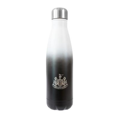 Metallic 500ml Thermal Flask
