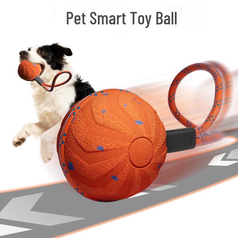 PetSmart Electric Dog Toy: Waterproof, Bite-Resistant E-TPU Bouncing Ball with Rope for Interactive Teething