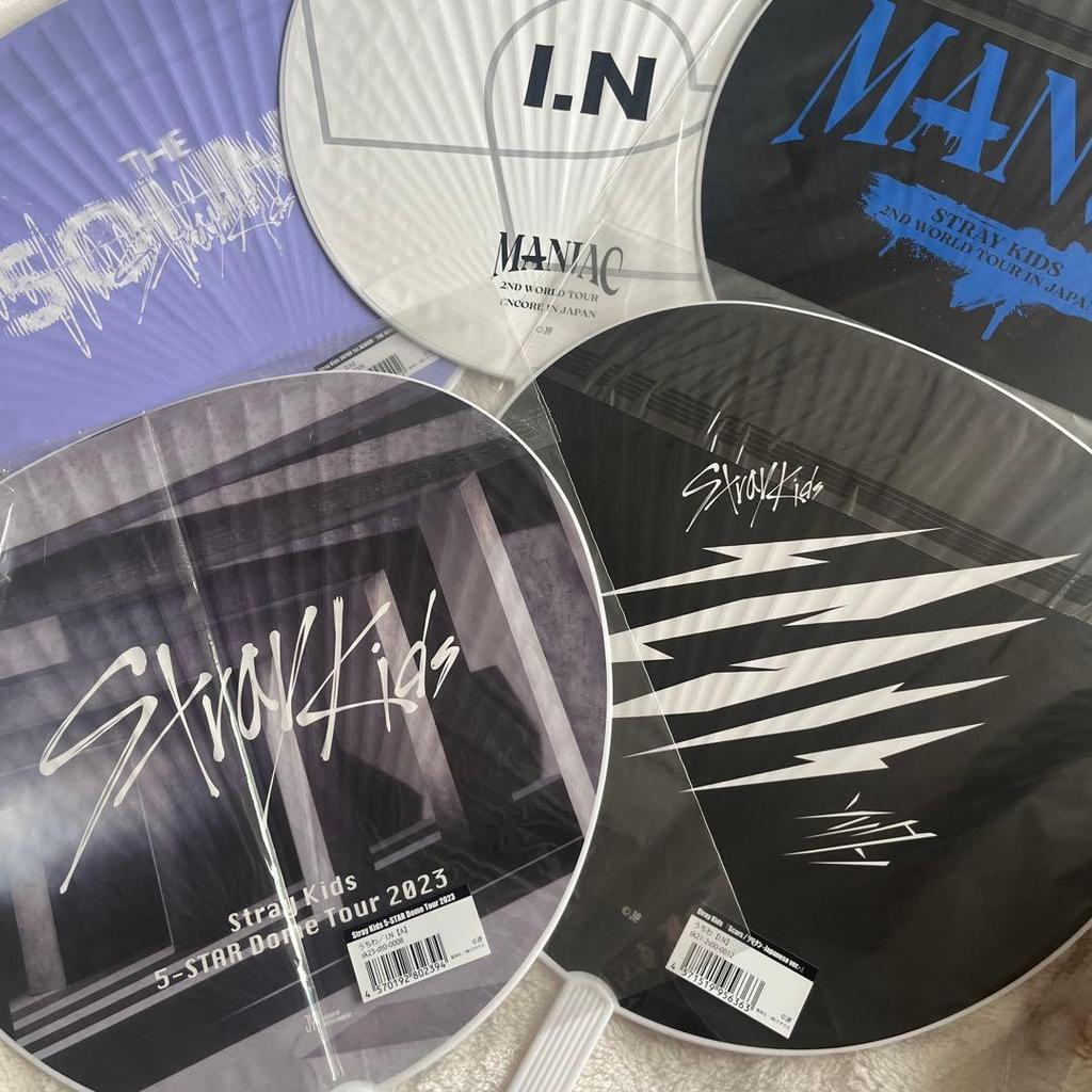 [USED] StrayKids SKIZ IEN Fans (5 Types)
