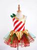 Kids Girls Stylish Dance Clothing Stage Performance Mesh Tutu Dress Christmas Carnival Cosplay