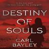 Destiny of Souls by Carl Bayley Paperback Book 9781836281955