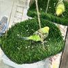 Artificial Grass Bird Swing Mat Natural Foraging Mat Toys Hamster Sleep Bed  Small Animals