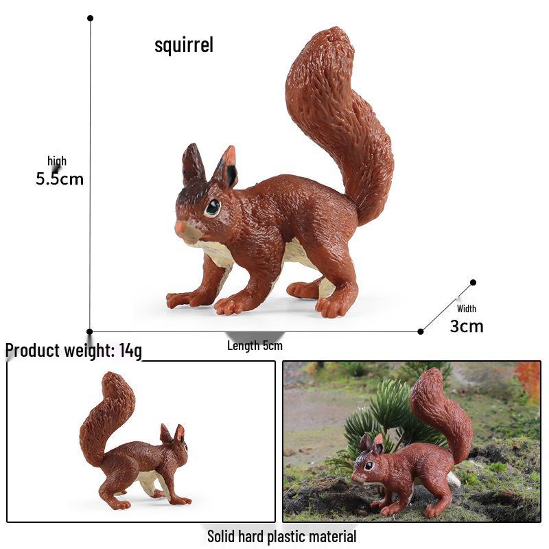Pediatric Science Educational Squirrel Toy - Home Desktop Ornament