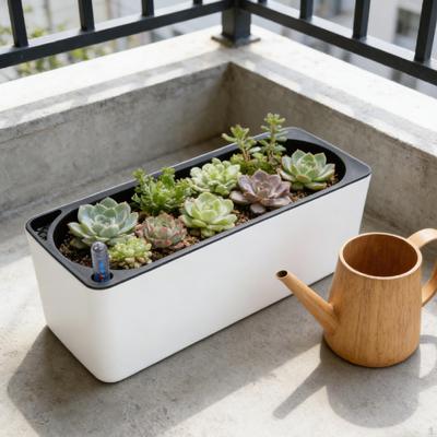African Flower Pot with Self-Watering System And Water Level Indicator, Decorative, for Desktop Or