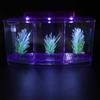 Aquarium Fischbecken LED Acryl Drei Abteilungen Zucht Isolationsbox Für Kleine Fische