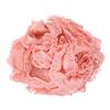Sky-Blue Mesh Bath Ball Shower Ball for Exfoliating Soothing Skin Cleansing with Shower Gel Or Soap Gentle Body Scrub for Men