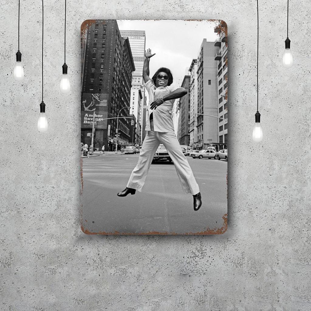 James Brown Metal Signs Wall Decor Vintage Tin Signs Captain Metal Poster Decor for Bar Pub Club Wall Decoration