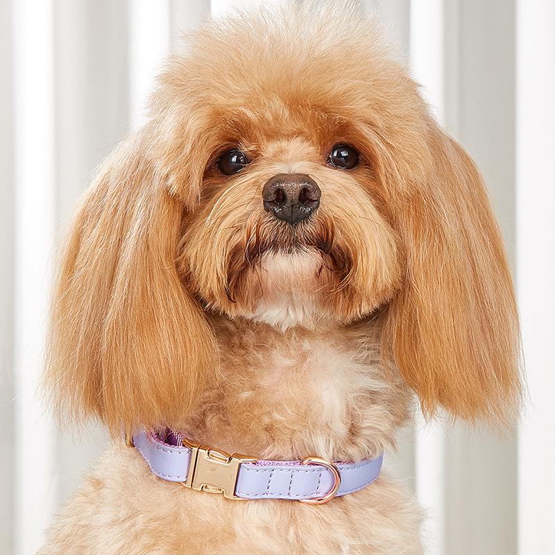 Dog Collar Candy Color Retro Cat Collar Small and Medium Dog Pet Dog Collar