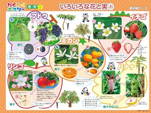 Elementary School Textbook Work Science 5th Grade Education Publishing Edition