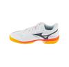 Кроссовки теннисные Mizuno Wave Exceed Court CC
