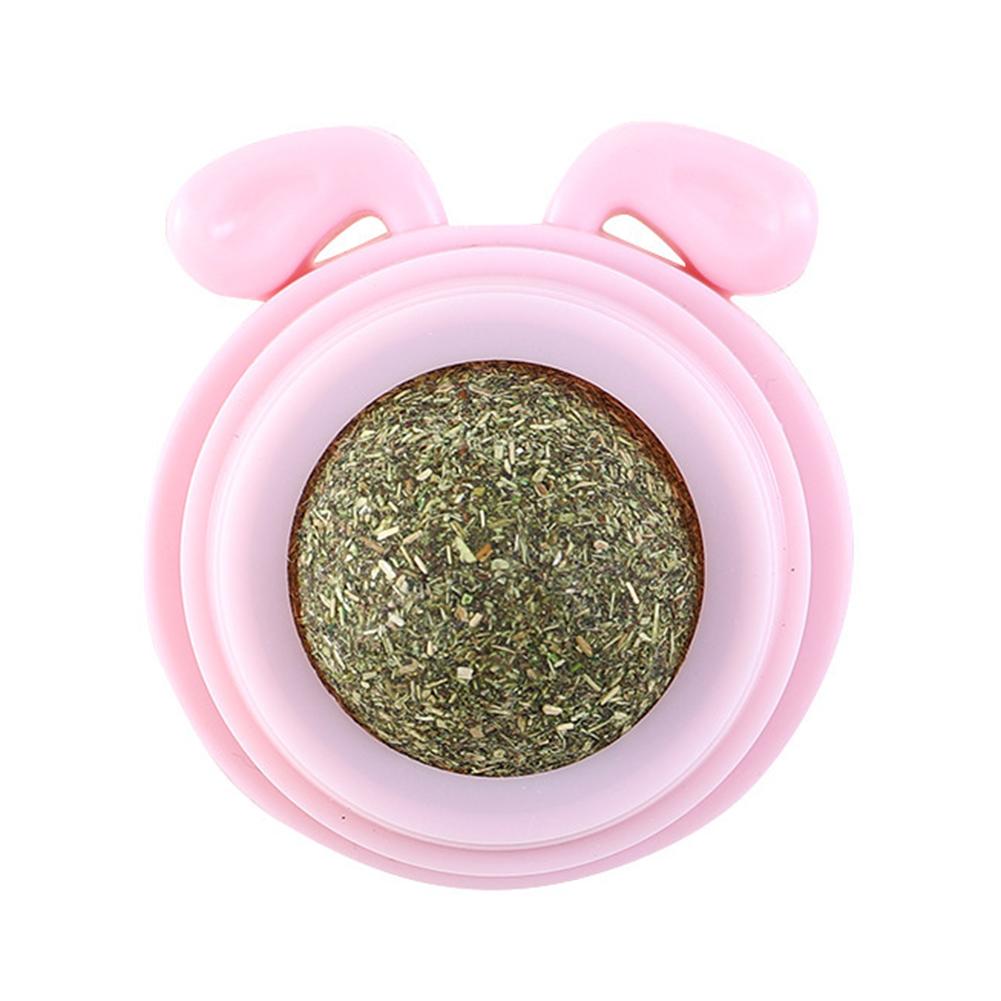 Plastic Catnip Energy Ball Natural Safe Dog Head Shape Catnip Wall Balls for Cats Teeth Cleaning Replaceable Pet Health Supplies