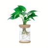 Transparent Imitation Glass Small Flowerpot,planting Potted Plants,resin Flowerpot for Green Plants,office,hotel,home Decoration