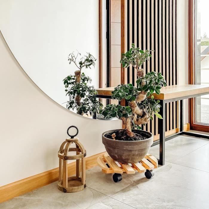 Creative Home Porte Plante a Roulettes En Bois Massif | Diamètre 35 Cm | Capacité De Charge 80 Kg | Support À Roulette Plante Fleur