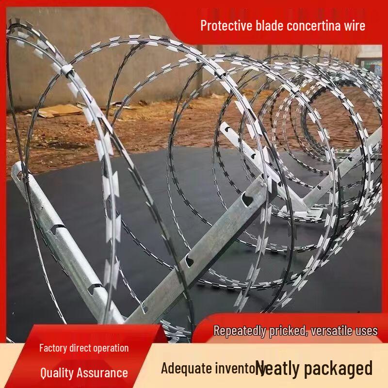 Cainuoxin Razor Wire Security Fence