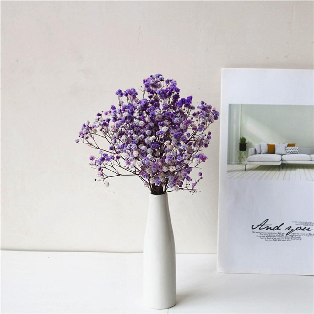 DIY Party Natural Small Mini Pressed Babysbreath Bouquet Dried Flowers Dry Flower Gypsophila