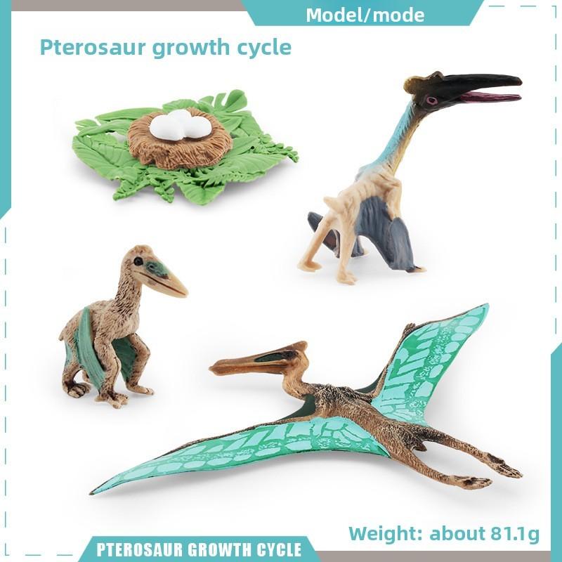 Pterosaur T Rex Growth Cycle Figures Pvc Models For Kid Science Educational Gift