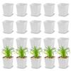 6pcs 7cm Black/White Plastic Square Plant Pots with Drainage Trays Ideal for Succulents Office Desktop Gardening Balcony Decor
