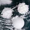 9/3x Christmas Tree Ornaments White Glitter Petal Shape Balls Foam Snow Ball Sparkling Foam Flower Hanging Decorations for Tree