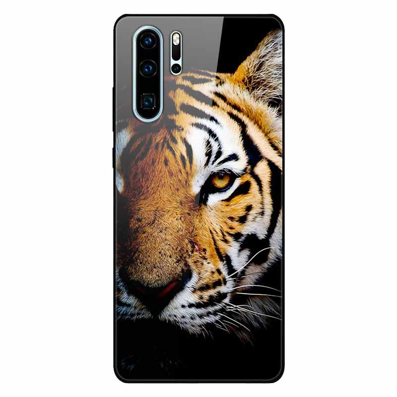 Tempered Glass Phone Cases for Huawei P30 Pro P20 P 30 P40 Lite P50 P60 Pro P30Lite P 20 60 Cover Hard PC Back Coque Shell Capa