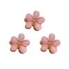 Princess Mini Claw Hair Clips for Women - Summer Side Bang Accessory