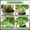 4Pcs 500ml Automatic Plant Watering Bulbs Plant Self Watering Globe Garden Plant Flower Pot Water Device Drip Irrigation System