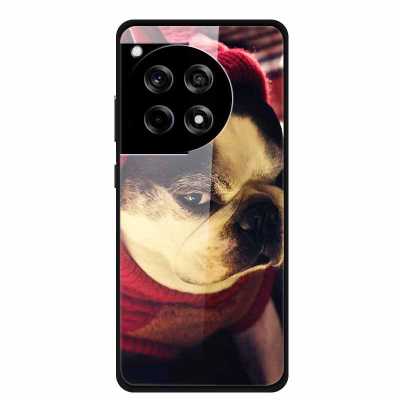 Creative Color Painting Tempered Glass Case for OnePlus ACE 3 12R
