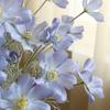 Artificial Cosmos Bipinnatus UV Resistant Fake Silk Galsang Flower Home Office Wedding Party Indoor Outdoor Faux Bloom Decoration