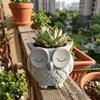 Ceramics Succulent Pot Cute Cactus Pot Unique Owl Planter  Balcony