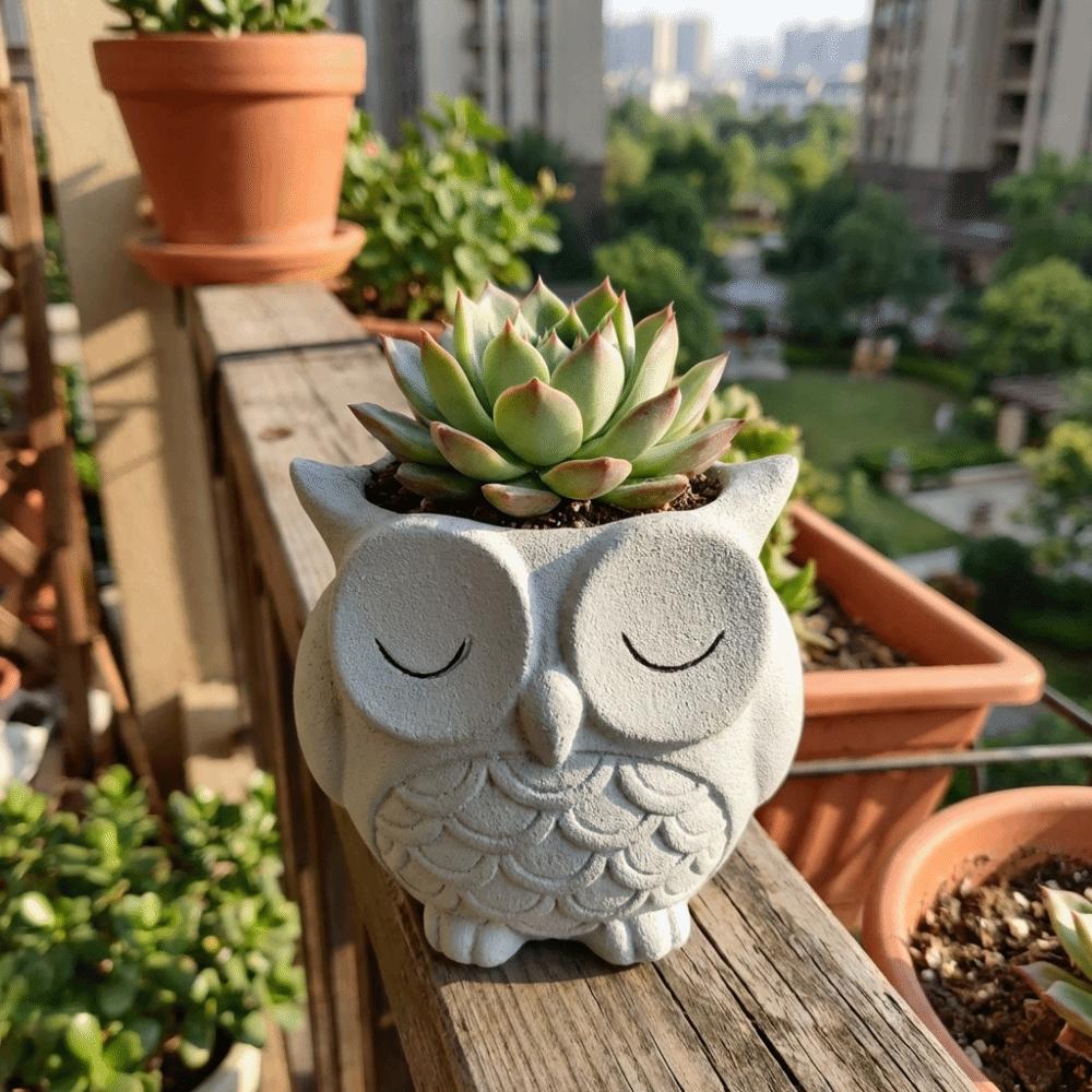 Ceramics Succulent Pot Cute Cactus Pot Unique Owl Planter  Balcony