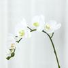 Lan Kwai Fong Luxurious Phalaenopsis Artificial Flowers for Living Room Decoration