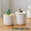 Creative Toothpick Holder Plastic Cotton Swab Holder with Cute Mini Rabbit Cactus Trees Cute Beautiful and Simple
