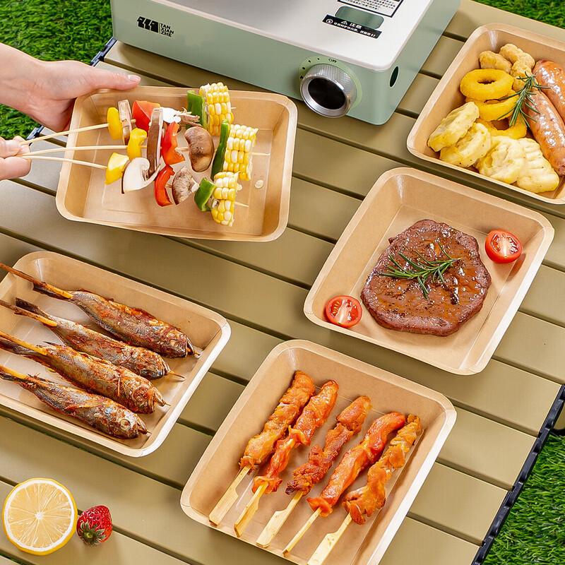 Temeiju Disposable Kraft Paper Plates for Camping & BBQ