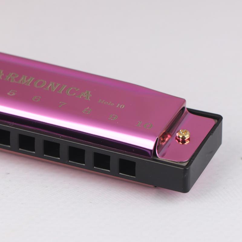 Harmonica Key Of C 10 Hole Diatonic Harmonica C With Case For Beginner Students Kids Gift Blues With Case