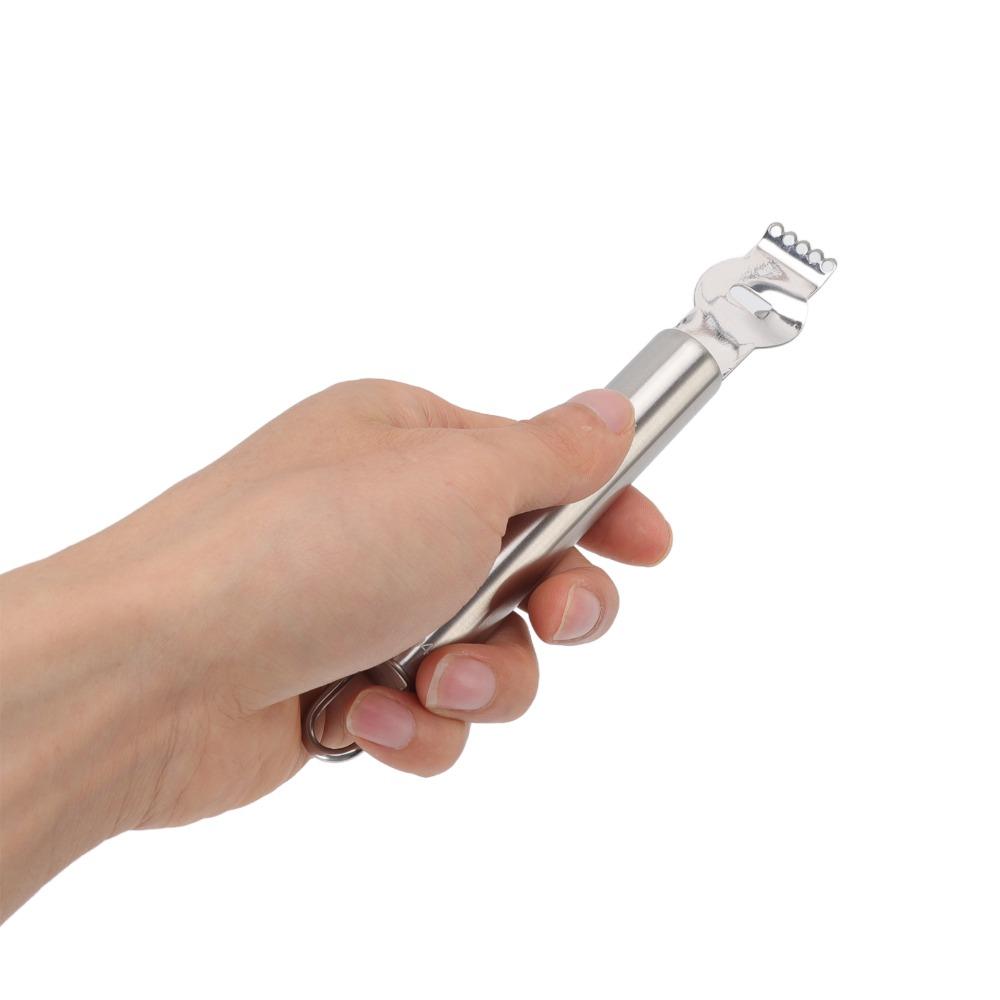 Silberner Zitronenschäler Edelstahl Schaber Obstschälwerkzeuge Zitronenreibe Küche