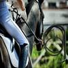 1 Stück Western-Cowboy-Peitsche für Reiter mit ergonomischem Griff und langem Griffdesign, geeignet für Reitsportbegeisterte.