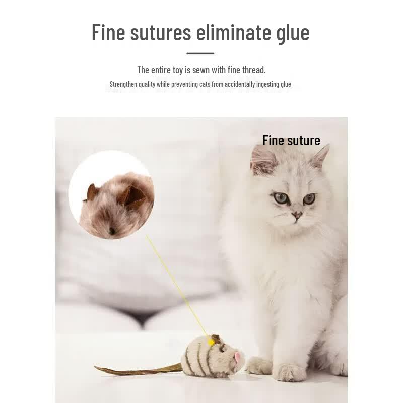 Cat Teaser Toy